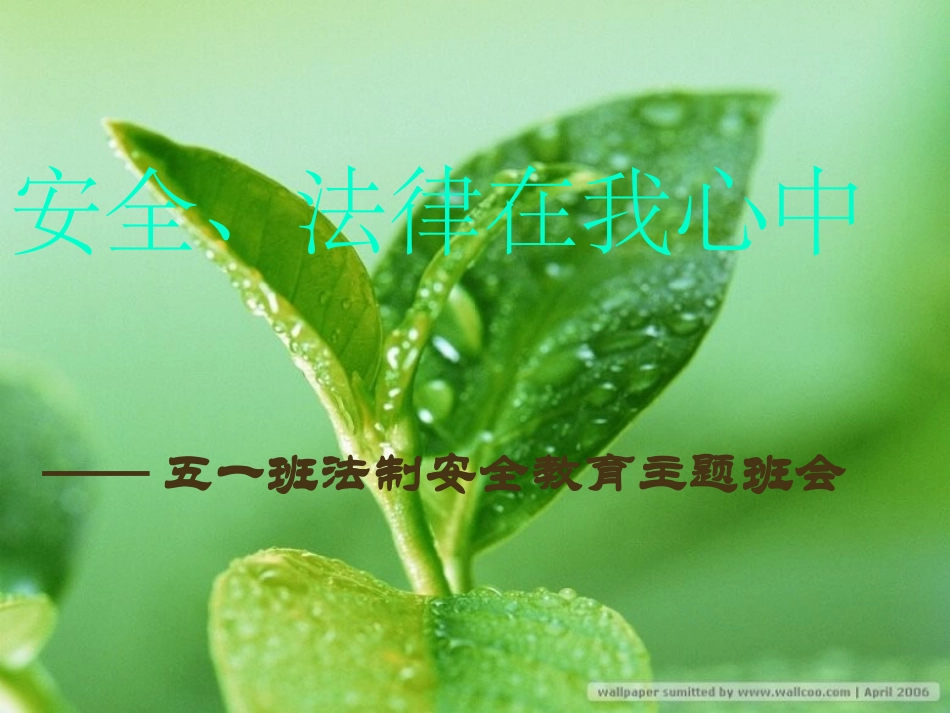 小学法制安全教育主题班会(完美版)_第1页