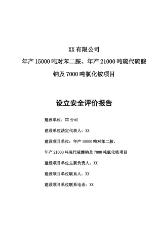 XX安全预评价送审稿