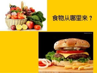 食物从哪里来？