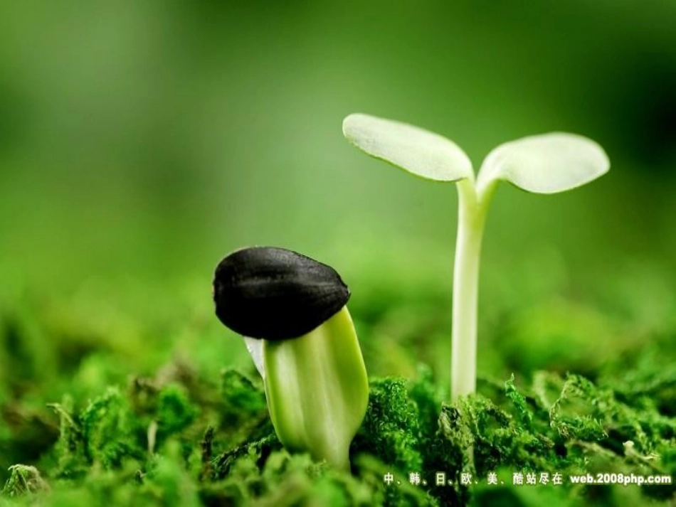 《春》朗诵课件_第3页