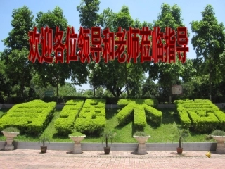 中位数公开课