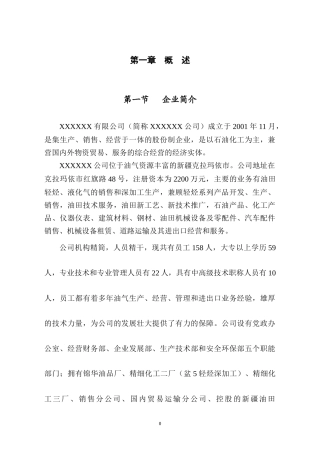 XXXXXX公司安全评价报告