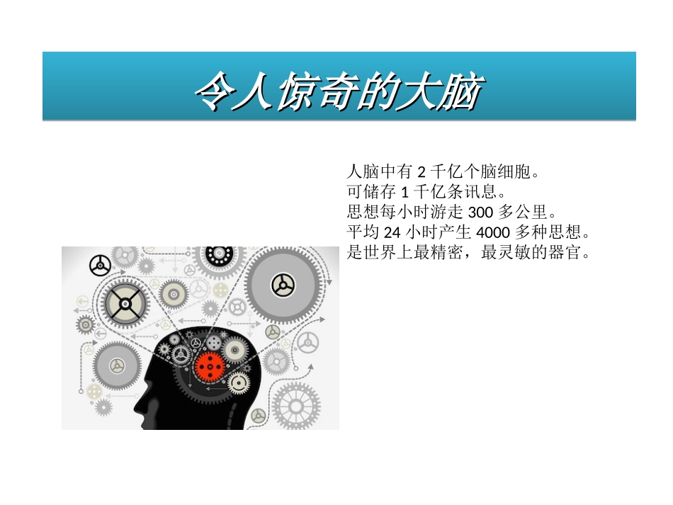 高效学习法则思维导图_第3页