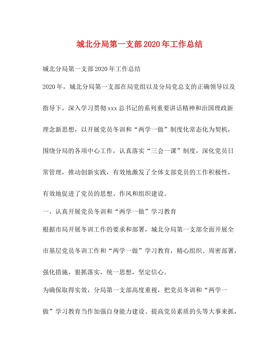 城北分局第一支部年工作总结_第1页