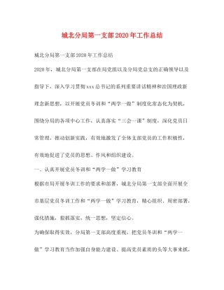 城北分局第一支部年工作总结