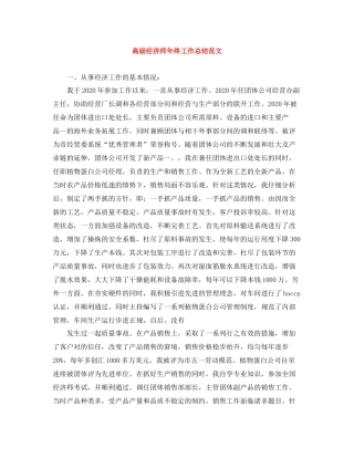 高级经济师年终工作总结范文