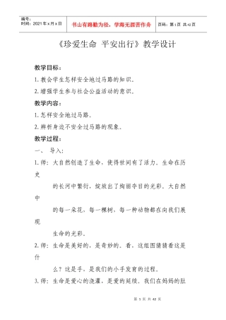 安全出行平安成长班会