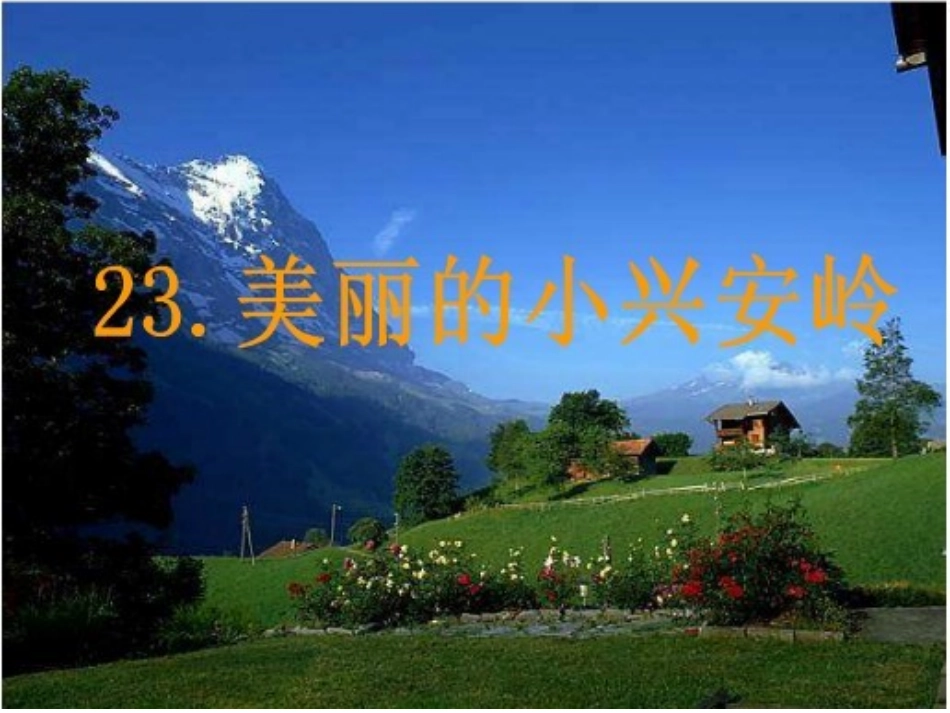 美丽的小兴安岭 (5)_第2页