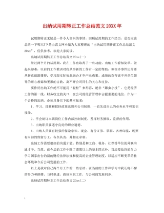 出纳试用期转正工作总结范文