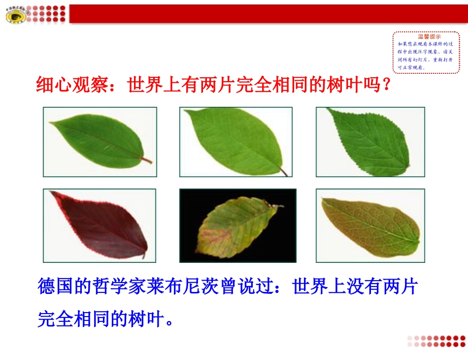 生命因独特而绚丽_第1页