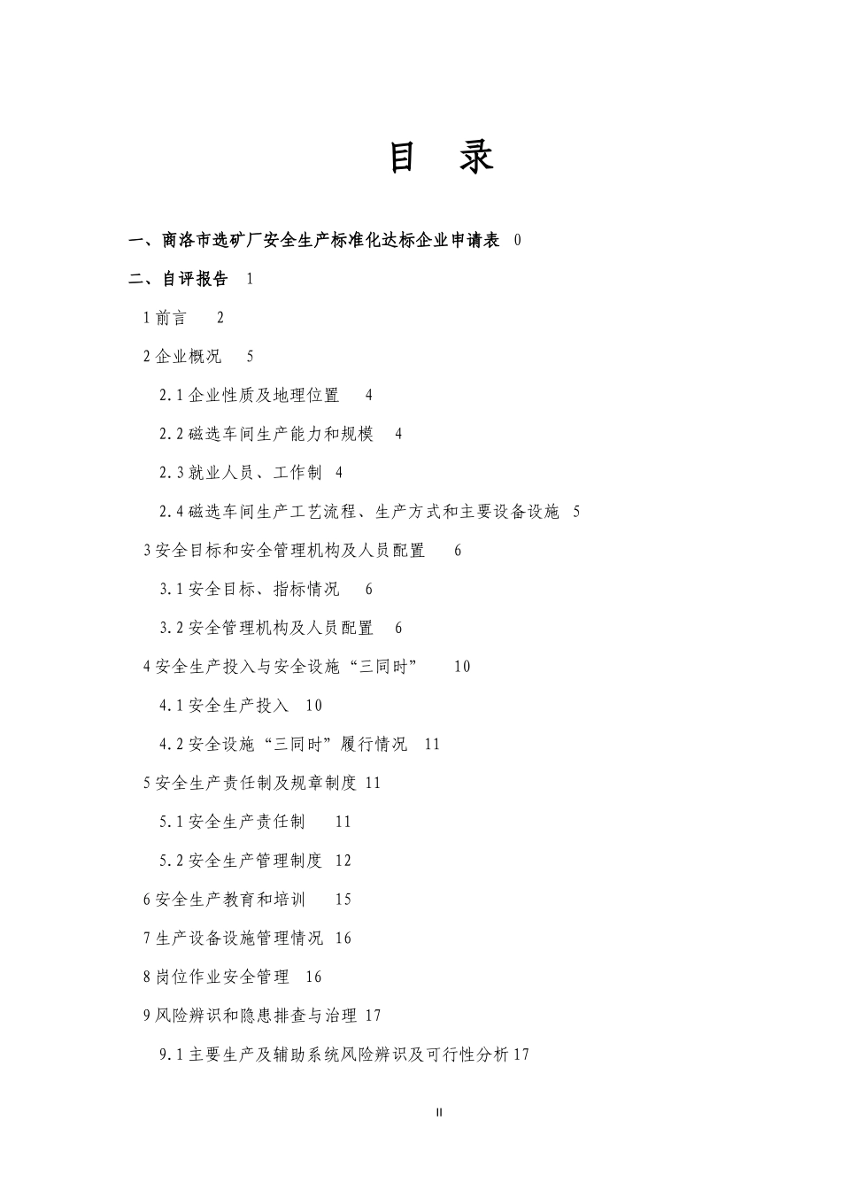 某矿业公司安全生产标准化自评报告_第2页