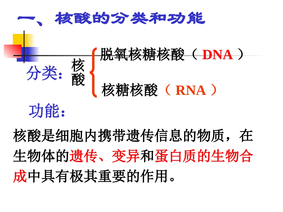 遗传信息携带者——核酸PPT_第3页