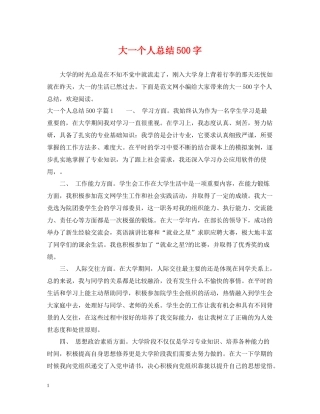 大一个人总结500字