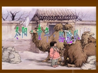 冬阳童年骆驼队 (2)