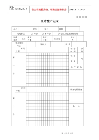 压片生产记录