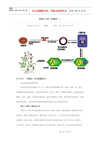 食用菌生产技术