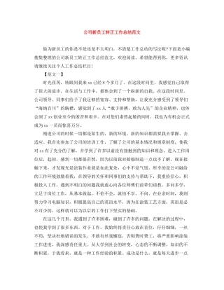 公司新员工转正工作总结范文