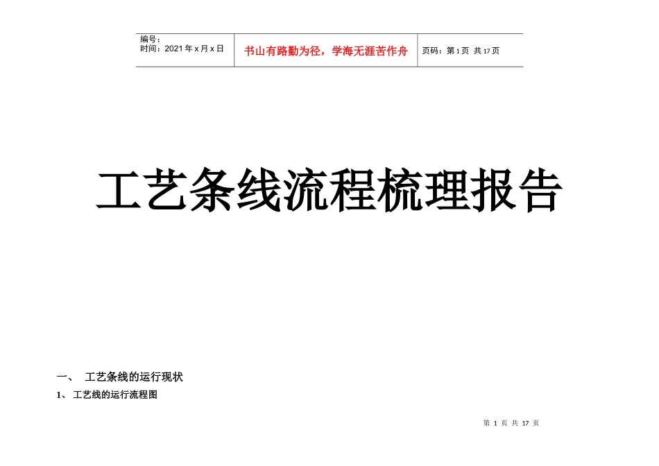 工艺流程梳理报告_第1页