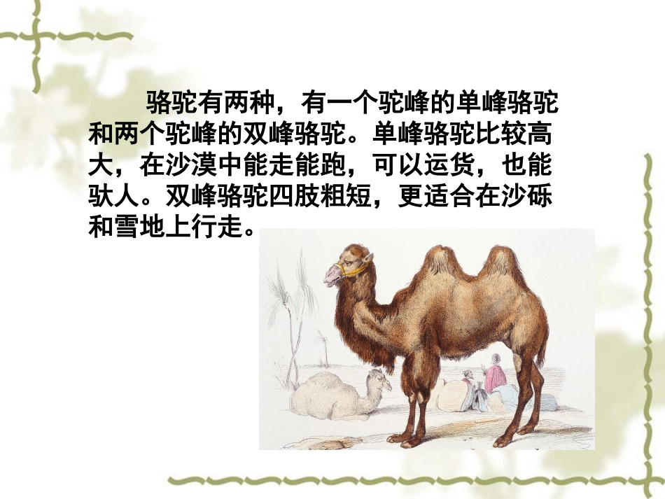 《想别人没想到的》课件 (6)_第2页