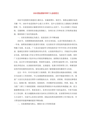 药品招标年终个人总结范文