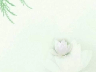 春雨的色彩课件