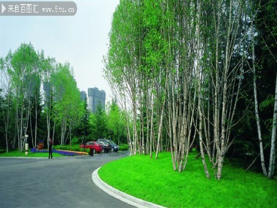 建设绿色家园_第2页