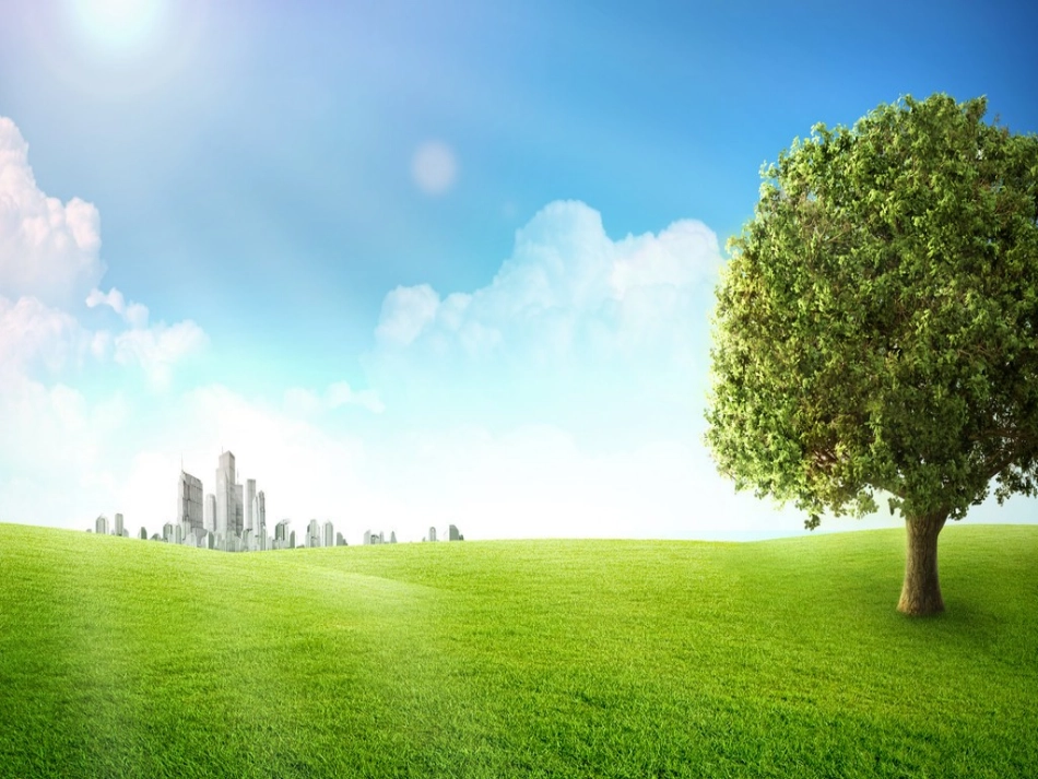 建设绿色家园_第3页