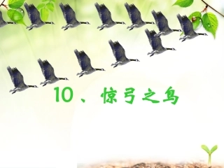 《惊弓之鸟》课件