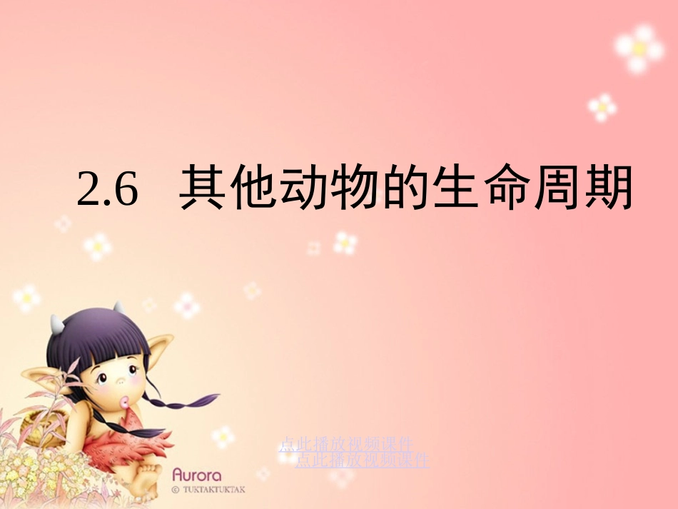 其他动物的生命周期_第1页