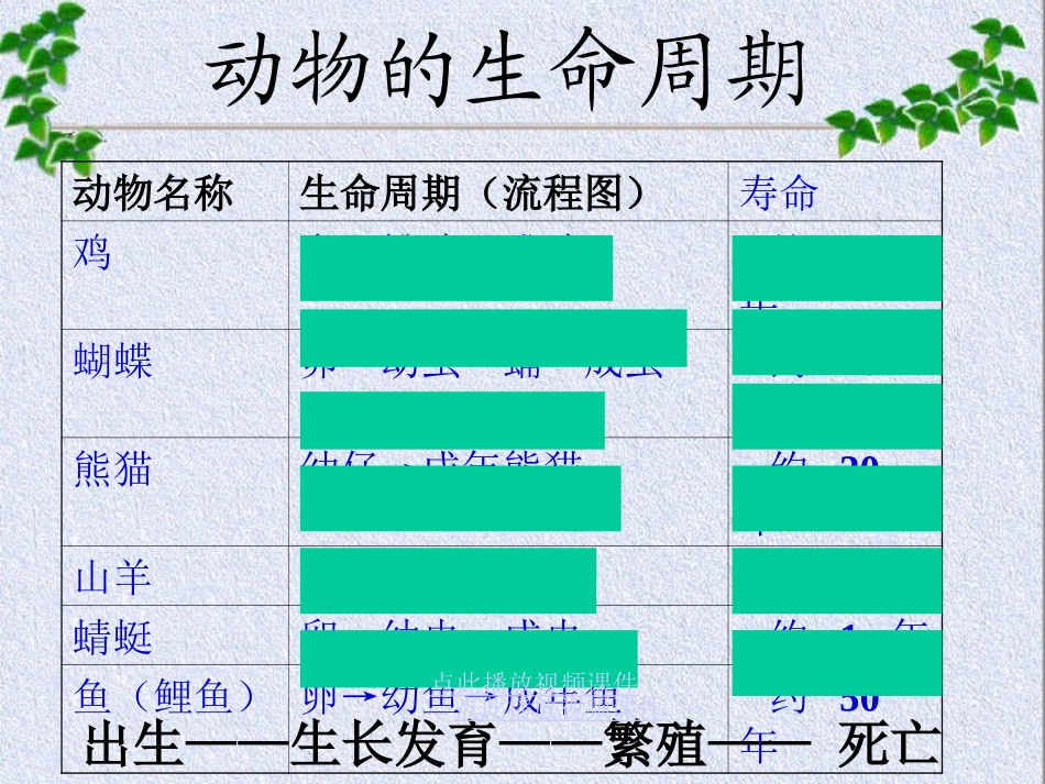 其他动物的生命周期_第3页