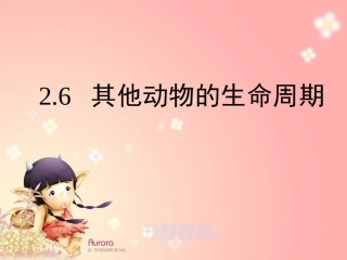 其他动物的生命周期