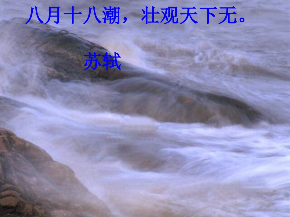 观潮 (5)课件_第1页