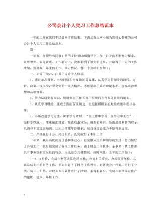 公司会计个人实习工作总结范本