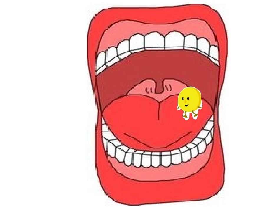 小豆子旅行记_第3页