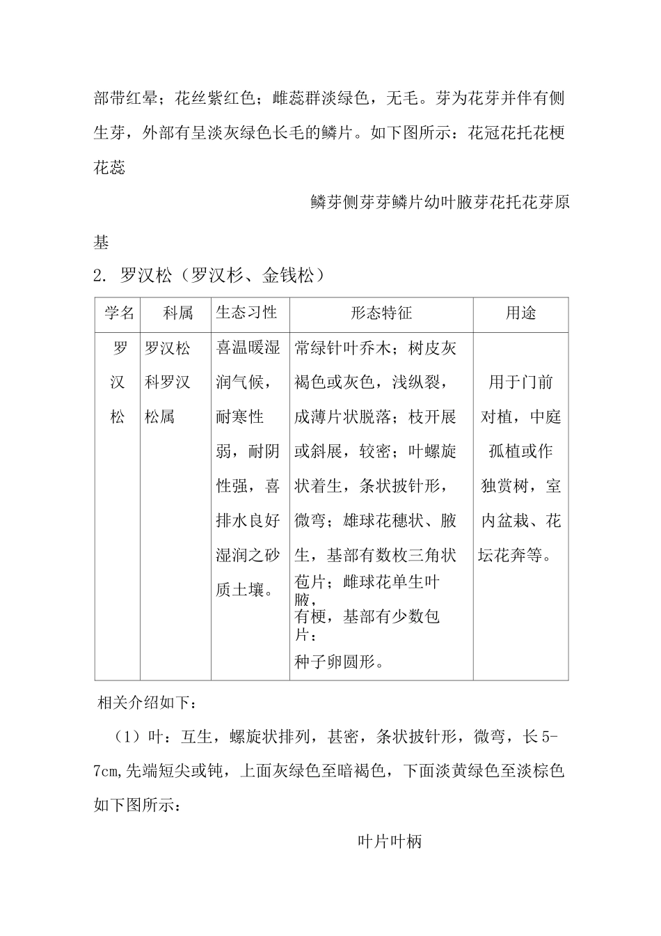 校园植物观察报告_第2页