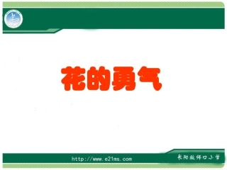 花的勇气 ()