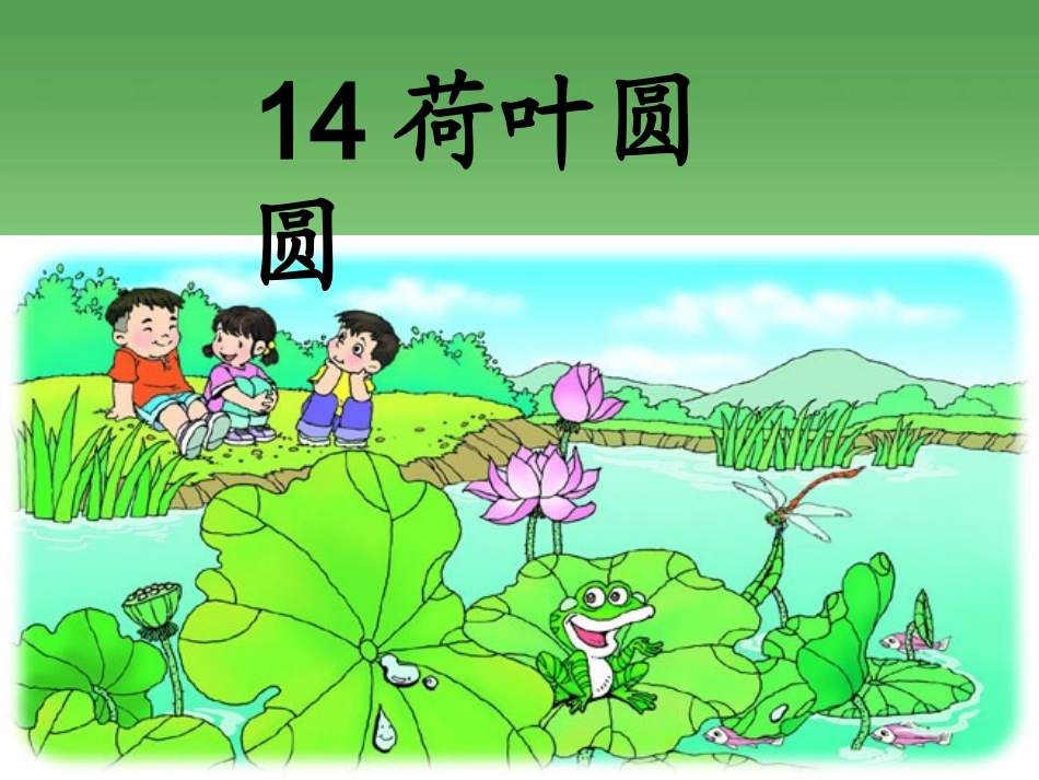 张海玲荷叶圆圆课件定稿_第1页