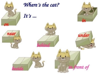 三年级下册unit4复习课