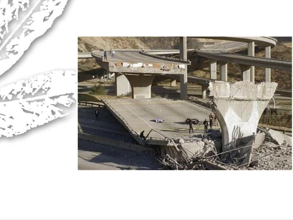 地震中的父与子 (3)_第2页