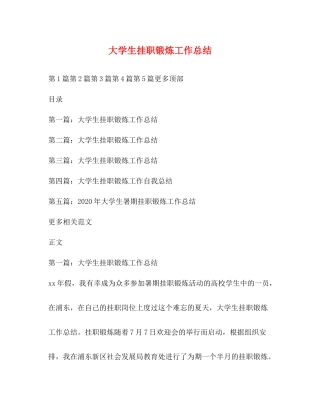 大学生挂职锻炼工作总结