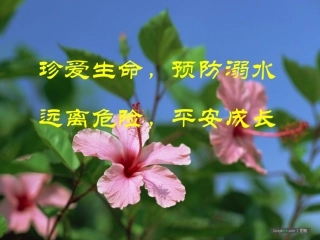 中小学防溺水专项教育课件