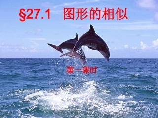 图形的相似公开课__第课时