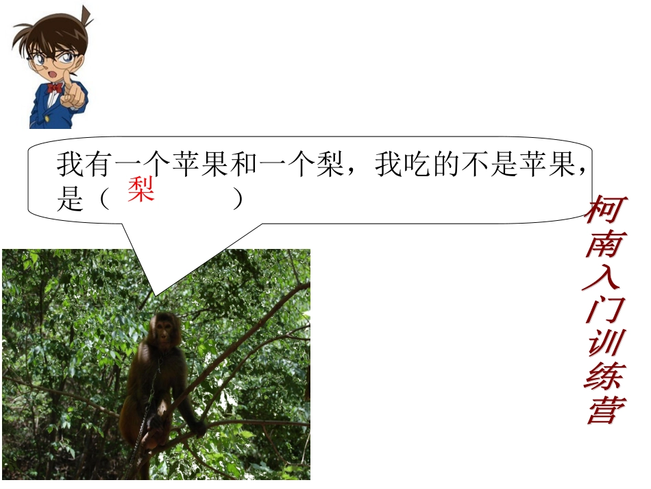 袁晓丽推理课件_第3页