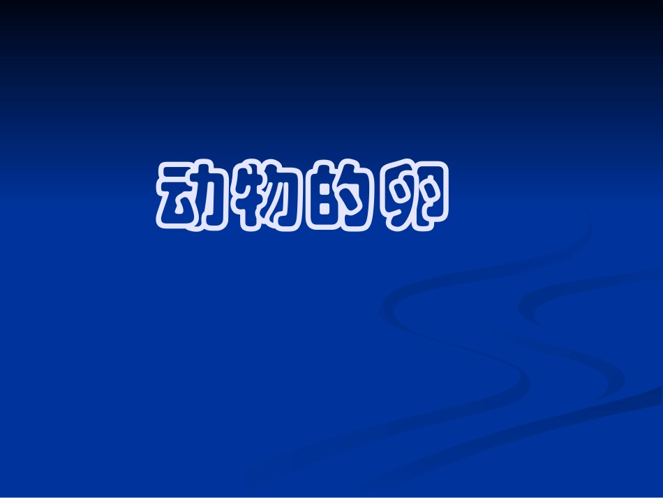 动物的卵2课件_第1页