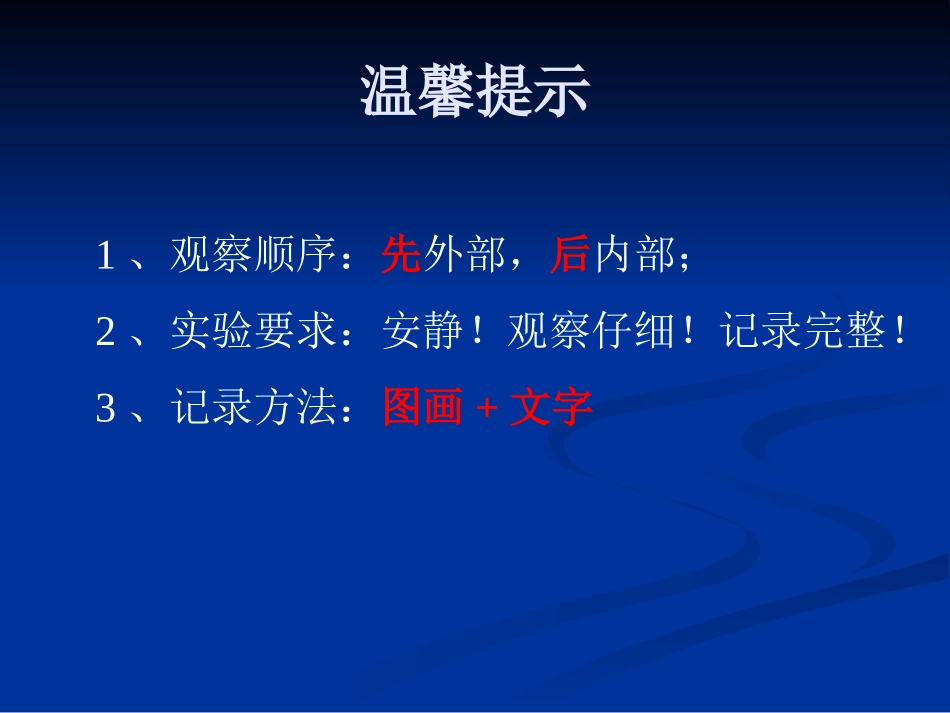 动物的卵2课件_第2页