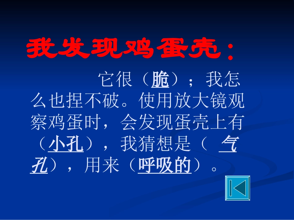 动物的卵2课件_第3页
