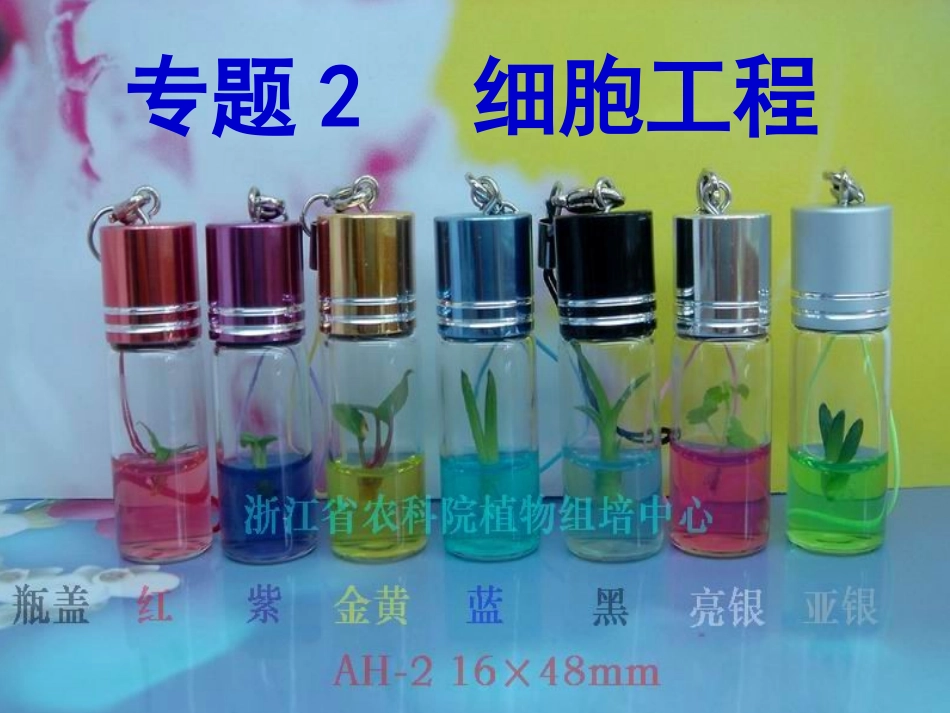 植物细胞工程_第1页