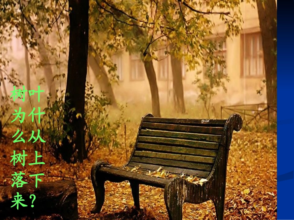 苹果为什么落地_第2页