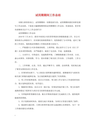 试用期期间工作总结