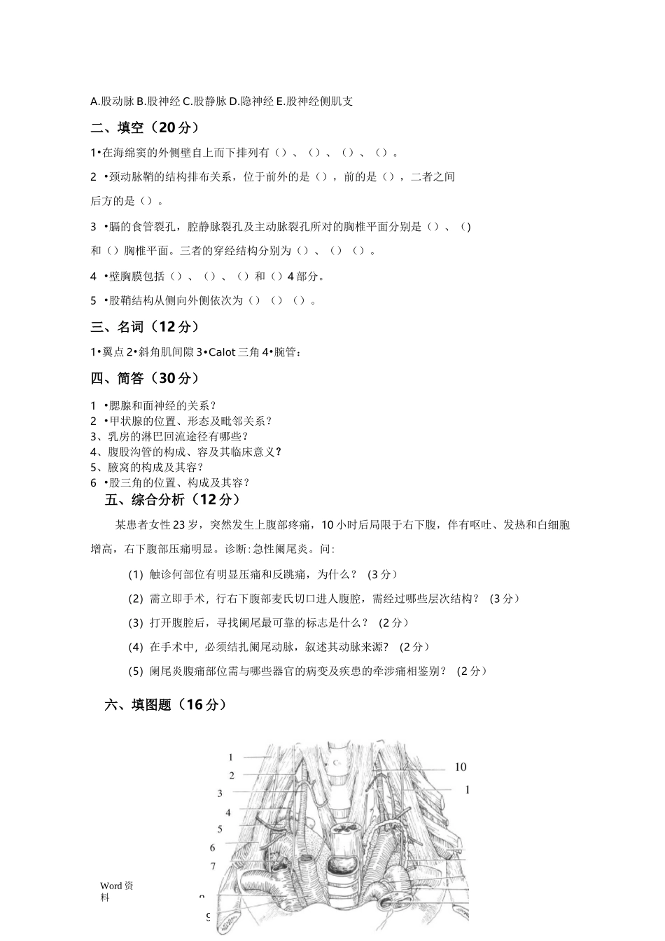 局部解剖学试题及答案_第2页